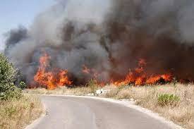 Ordinanza di prevenzione incendi in aree e terreni privati e pubblici